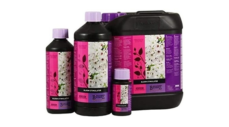 Bloom Stimulator B'cuzz para la floración | GrowShopLowCost