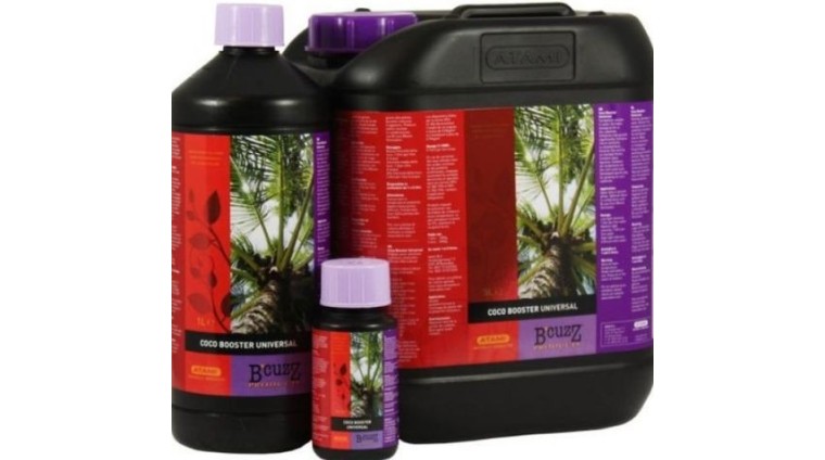 Booster Coco Uni B'Cuzz