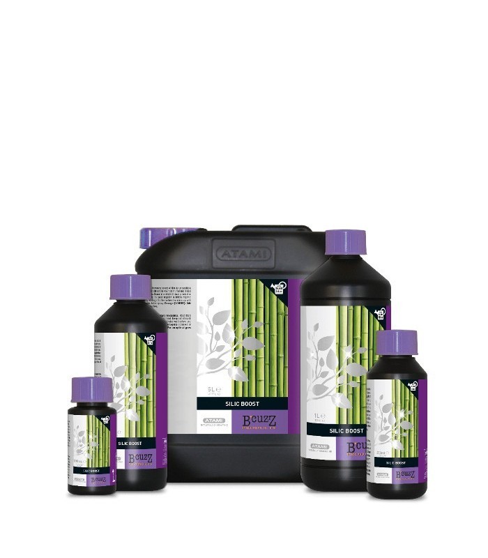 Silic Boost B'cuzz | GrowShop LowCost