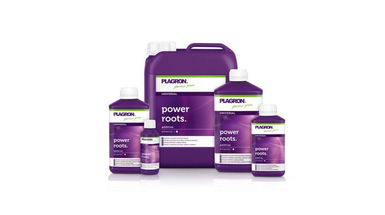 Power Roots Plagron | GrowShop LowCost