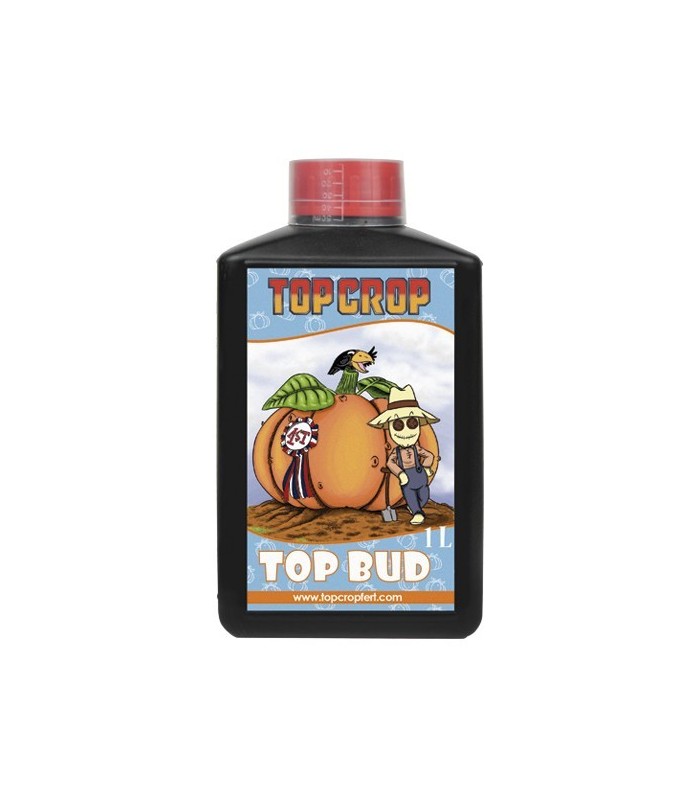 Top Bud