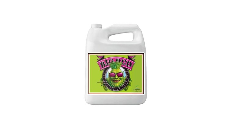 Big Bud | Flowering Enhancer | GrowShopLowCost