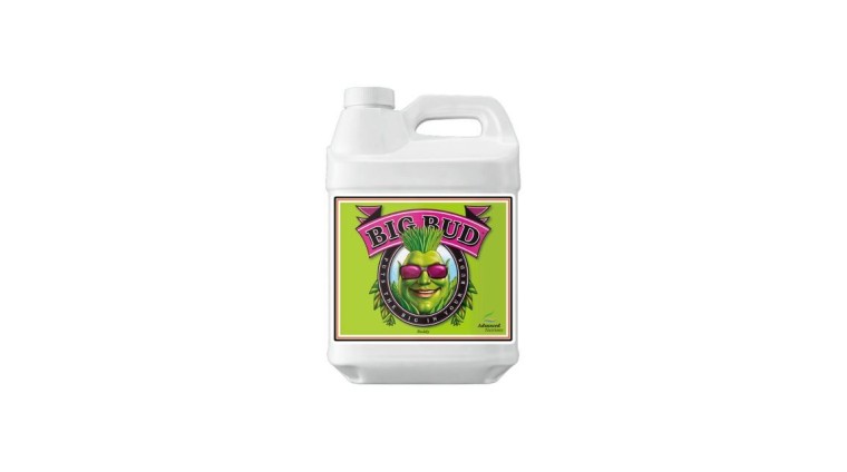 Big Bud | Flowering Enhancer | GrowShopLowCost