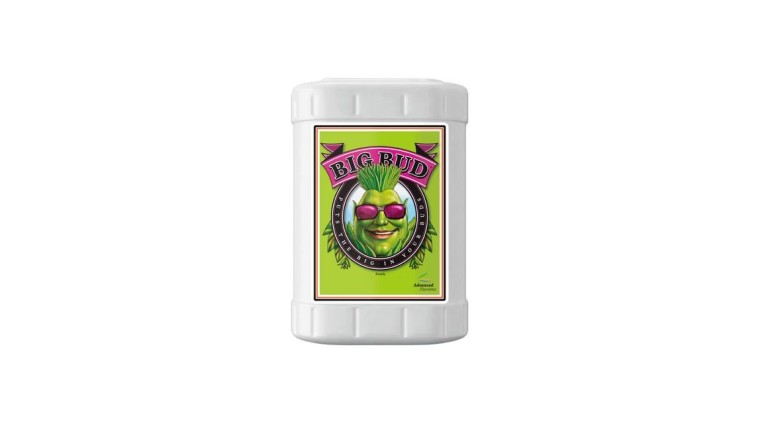 Big Bud | Flowering Enhancer | GrowShopLowCost