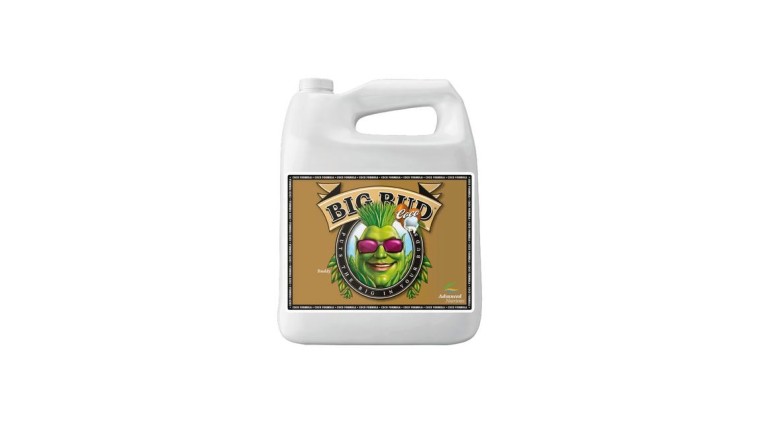 Big Bud Coco | Flowering Enhancer | GrowShopLowCost