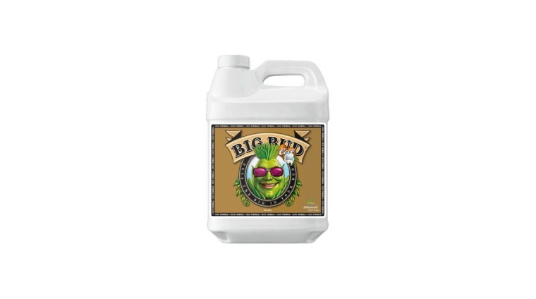 Big Bud Coco | Flowering Enhancer | GrowShopLowCost