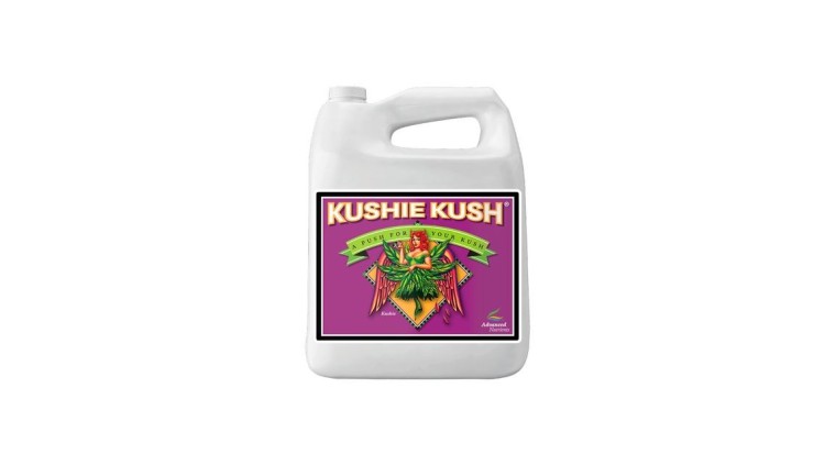 Kushie Kush