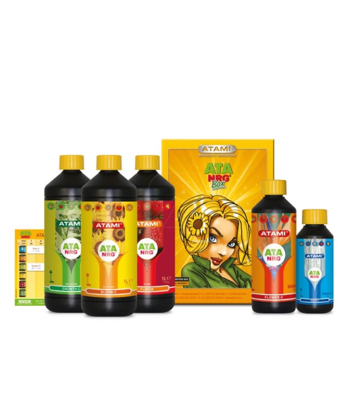 Box Ata NRG | GrowShop LowCost