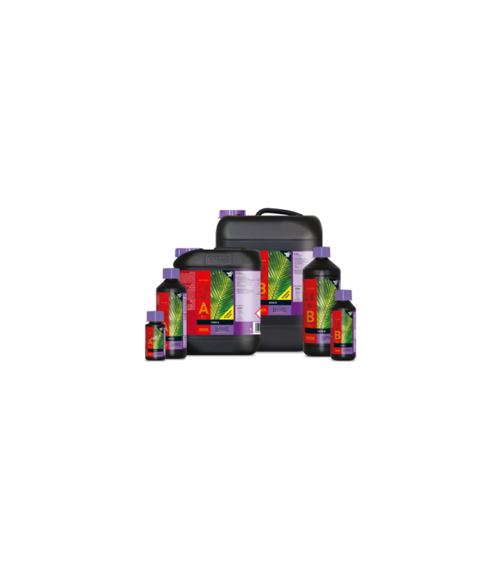 Coco AB B'cuzz | GrowShop LowCost