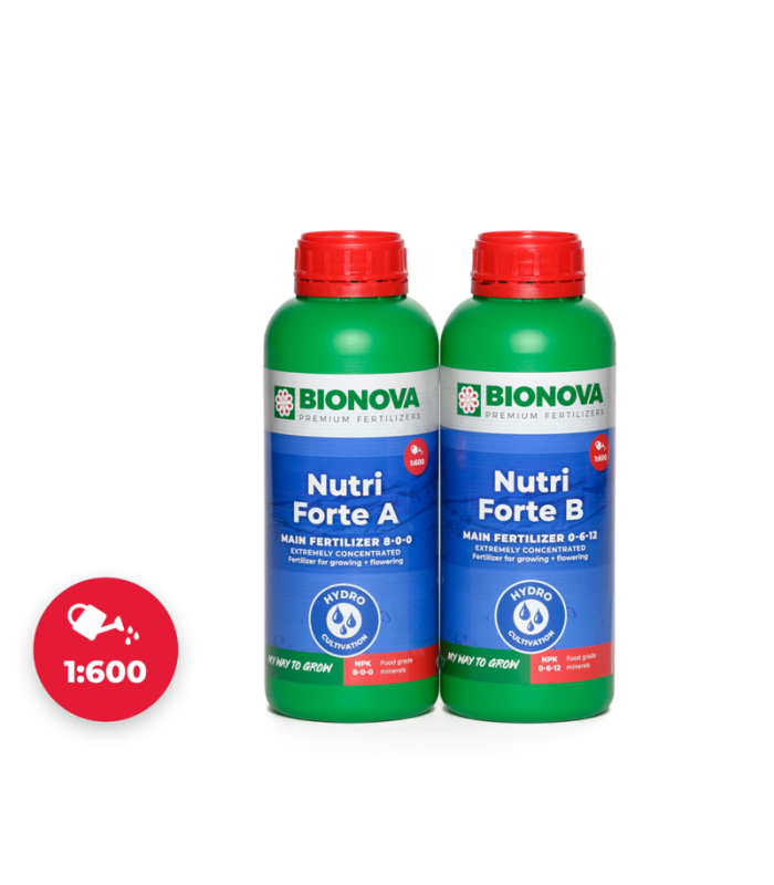 Bio Nova Nutri Forte A/B 250ml | GrowShop LowCost