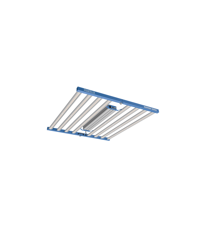INSOMNIA LED LIGHT 1000W 2.8 POWERLUX