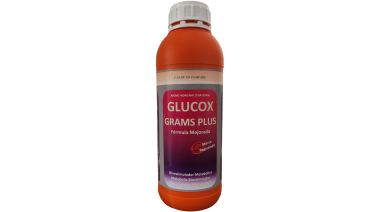 Glucox Grams Plus