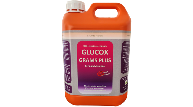 Glucox Grams Plus 1L