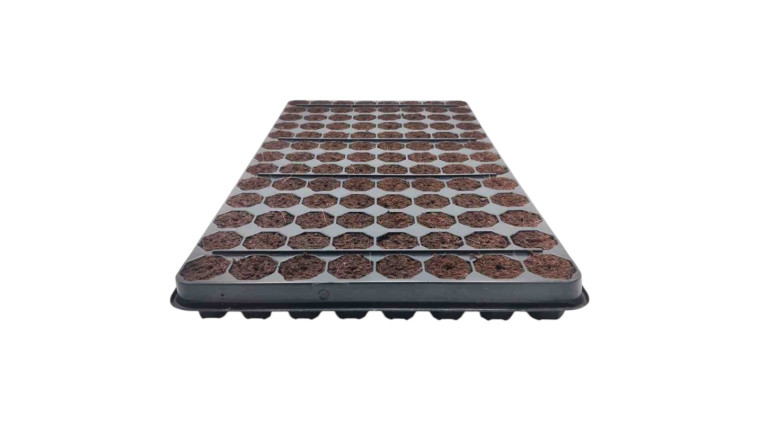 TRAY 104 EASY CLONE PRO