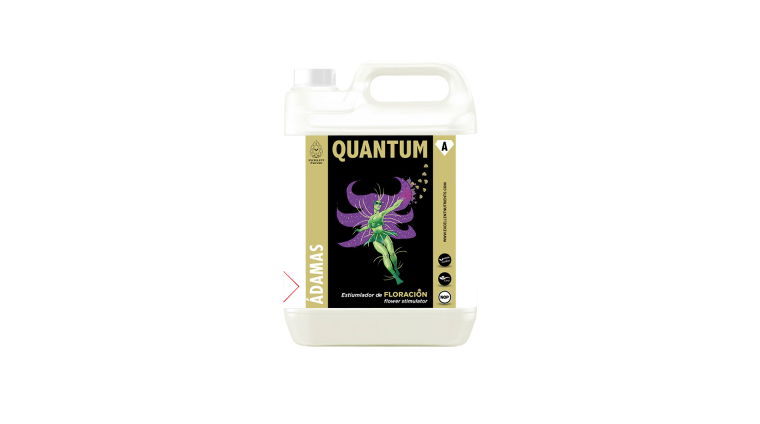 QUANTUM (Á-DAMAS)