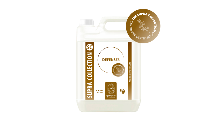 DEFENSES (SUPRA COLLECTION)