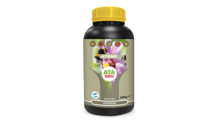 ATA NRG UPGRADE 600GR