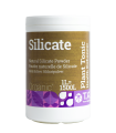 SILICATE (MINERAL MAGIC)