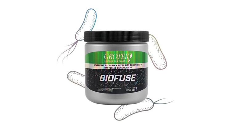 GROTEK BIOFUSE BACTERIAS  BENEFICIOSAS