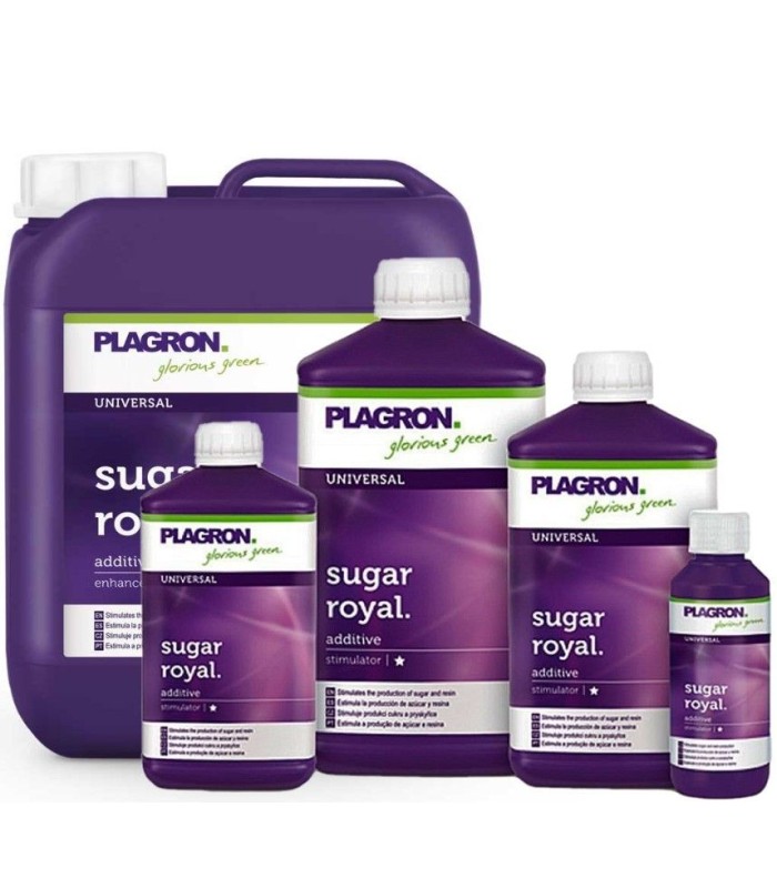 Sugar Royal Plagron