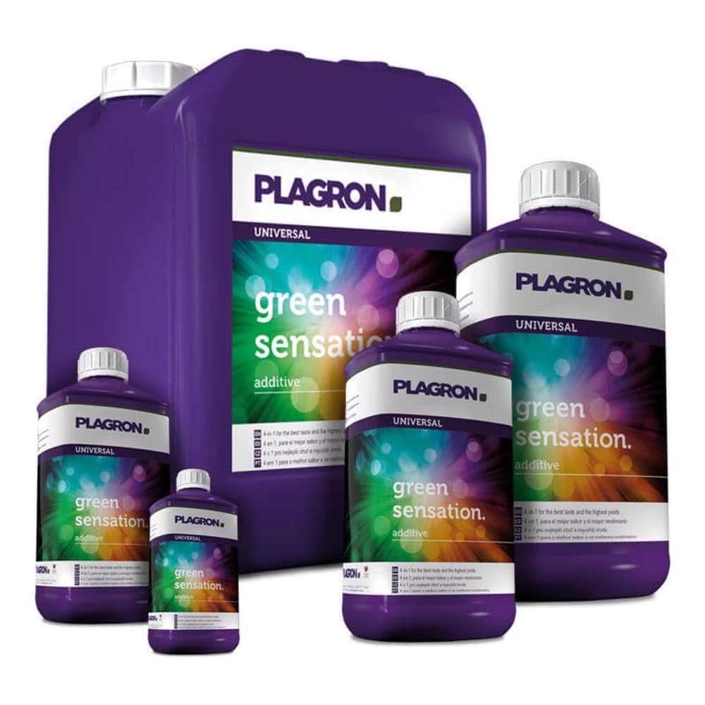 Gadgets for Travelers