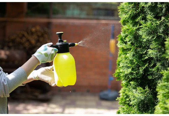 Por qué el pulverizador de agua es imprescindible en tu kit de cultivo