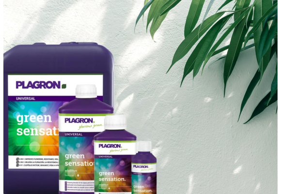 4 consejos para utilizar Green Sensation de Plagron en tus plantas