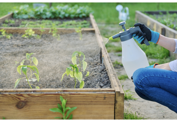 HOW TO USE THE PRESSURE WATER SPRAYER WELL 