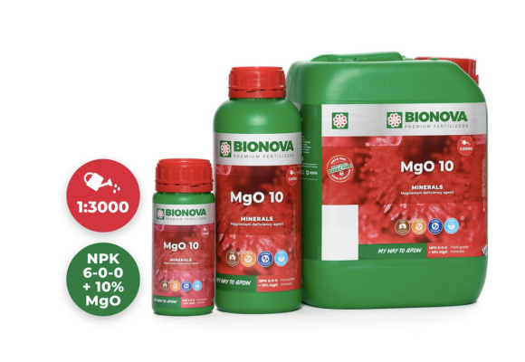 What Is the Best Fertilizer for Indoor Plants?