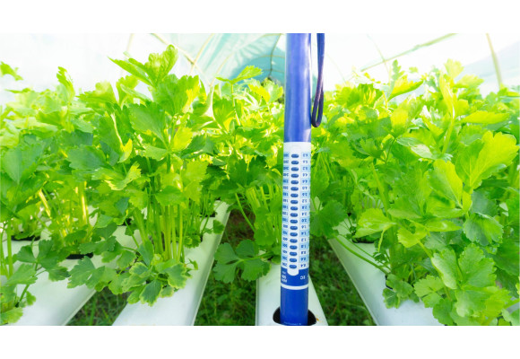 Qué son los medidores de EC y cómo se utilizan