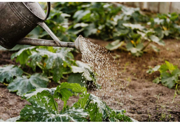 El Tratamiento del Agua en el Cultivo Indoor: Las Mejores Claves