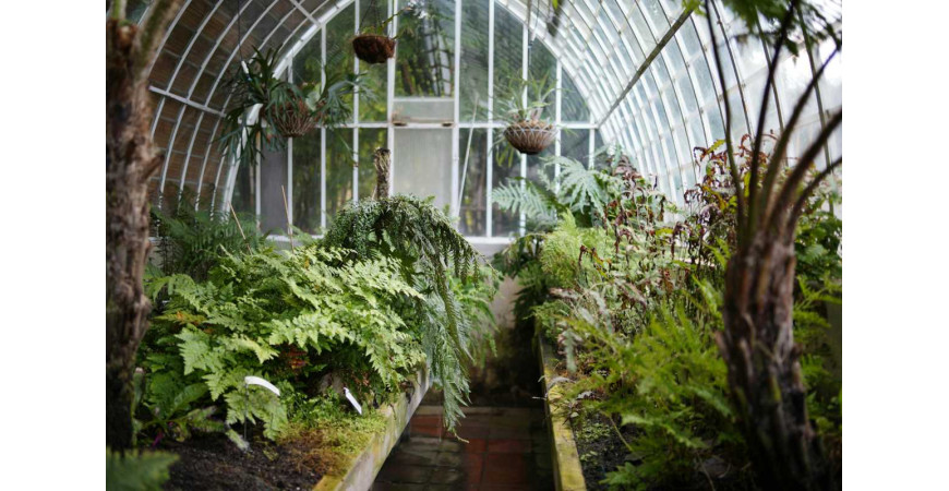 7 techniques for indoor cultivation
