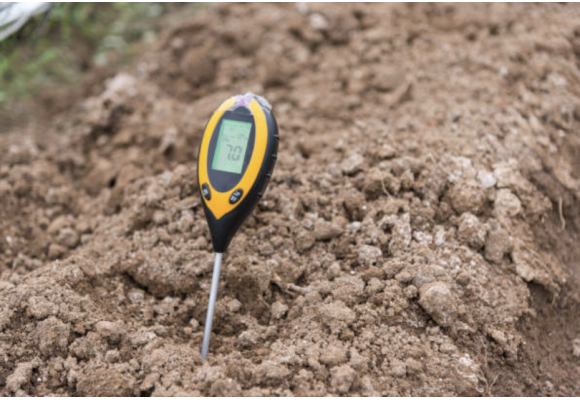 What is a pH meter: how It works, and why It's essential for indoor growing