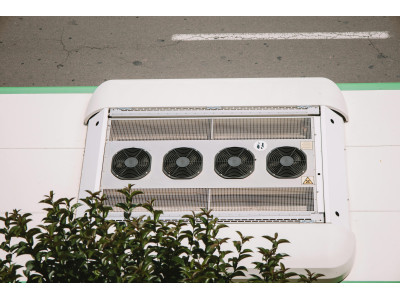 Cómo bajar la humedad de mi cultivo indoor: soluciones efectivas y productos clave