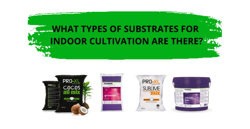Types of Substrates: Complete Guide to Choosing the Best Medium for Indoor Growing