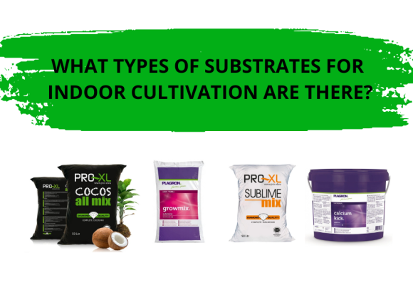 Types of Substrates: Complete Guide to Choosing the Best Medium for Indoor Growing