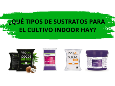 Tipos de sustratos: guía completa para elegir el mejor medio de cultivo indoor