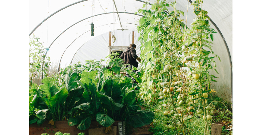 How to Set Up a Grow Tent Step by Step: A Complete Beginner's Guide