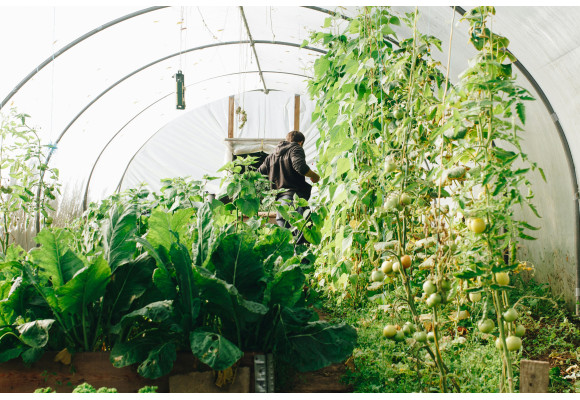 How to Set Up a Grow Tent Step by Step: A Complete Beginner's Guide